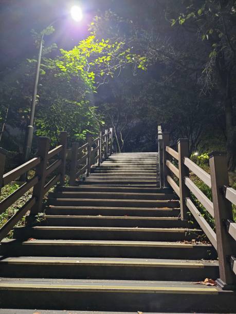 istock wooden stairs on the trail 1734363857