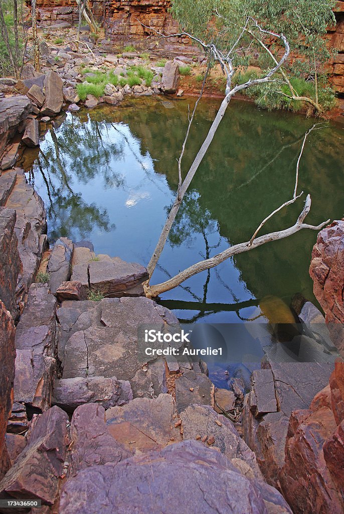 Paisaje Central de Australia - Foto de stock de Aire libre libre de derechos