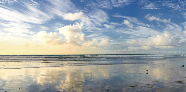 Calm beach and sea stock photo