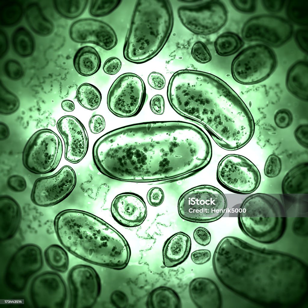 Bacteria High quality 3d render of bacteria under the microscope Micro Organism Stock Photo