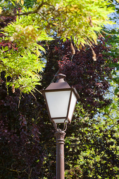 istock Vintage street lamp 173445073