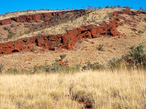 Australia outback landscape with blue sky.