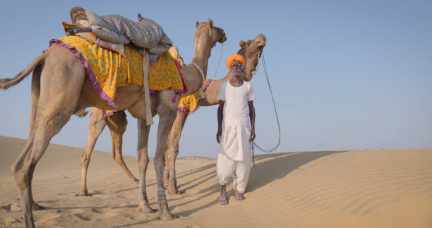 istock Indian man posing with camels on sand dunes, Rajasthan, India 1734464114