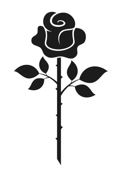 Vector illustration of Rose Flower With Leaves And Thorny Stem - cut out vector silhouette