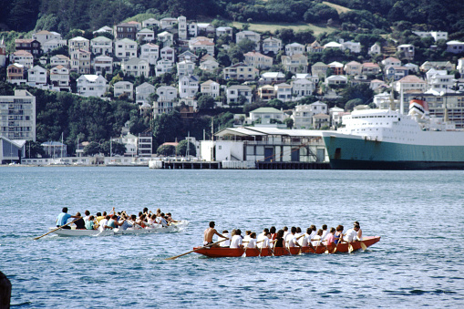 Wellington, New Zealand, January 14, 1989 - Historic 1989 photo, Two dragon boats practicing in Wellington bay.
