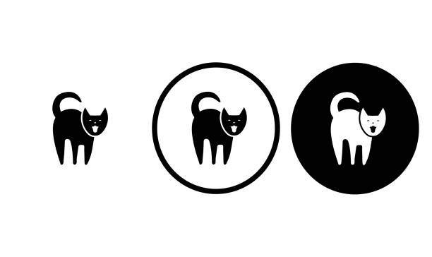 ikona kot - veterinary medicine flash stock illustrations