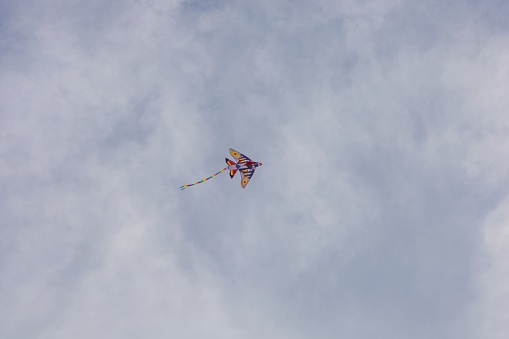 Kite in flight against the sky.