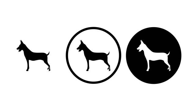 icon-hund - veterinary medicine flash stock-grafiken, -clipart, -cartoons und -symbole