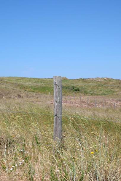 istock Callantsoog near the sea and beach 1734602578