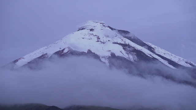 Cotopaxi, an active volcano, at early morning light with for rising from the valley in the andes mountains of Ecuador.