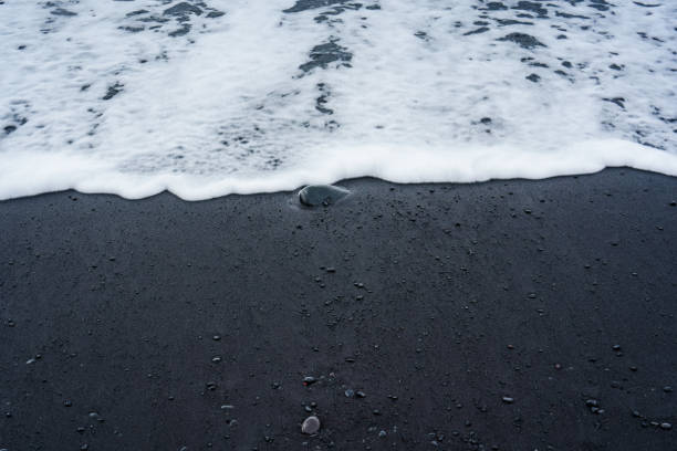 istock Sea wave on volcanic black sand beach in summer 1734701066