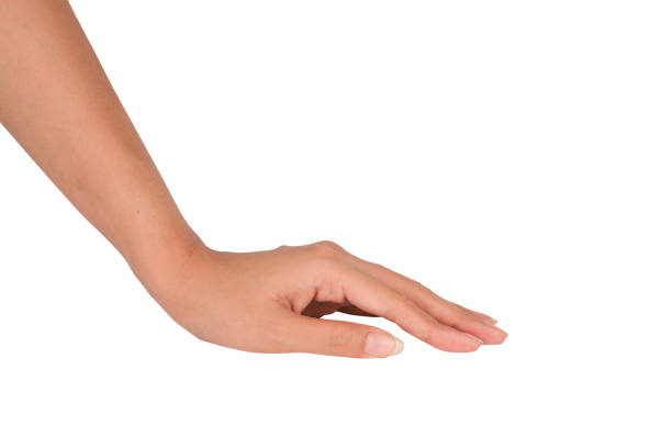 istock Female hands showing open hand gesture 1734702699