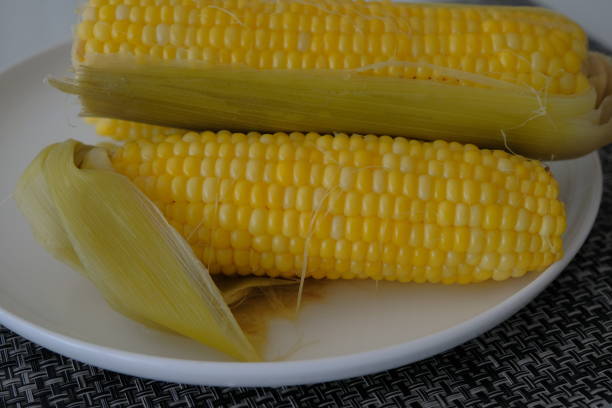 istock yellow corn on a white plate. boiled yellow corn on white plate 1734745830