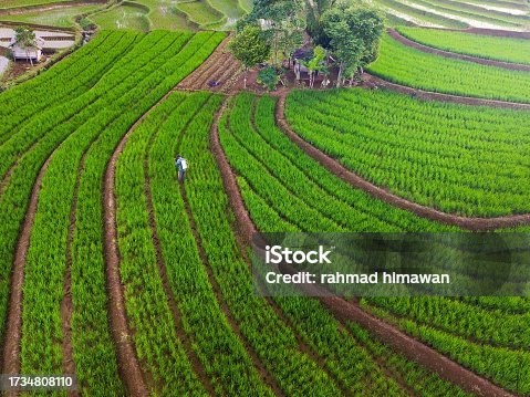 istock aerial view of Indonesia in beautiful mountain and agricultural areas during clear weather, with blue mountains, wide stretches of green grasslands and beautiful yellowing rice 1734808110