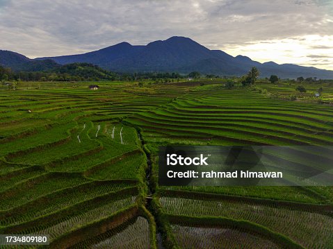 istock aerial view of Indonesia in beautiful mountain and agricultural areas during clear weather, with blue mountains, wide stretches of green grasslands and beautiful yellowing rice 1734809180