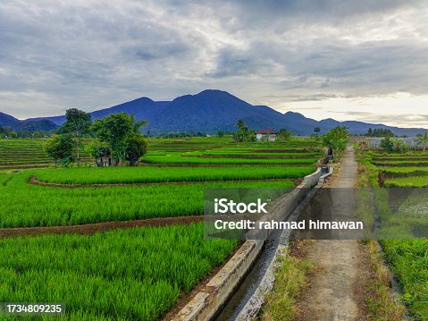 istock aerial view of Indonesia in beautiful mountain and agricultural areas during clear weather, with blue mountains, wide stretches of green grasslands and beautiful yellowing rice 1734809235