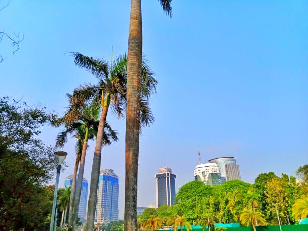 istock Photo with palm trees and buildings 1734816730