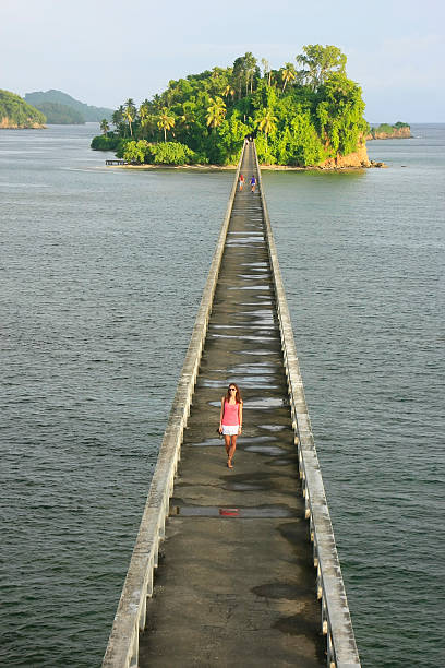istock Bridge to Nowhere, Samana Bay 173484211