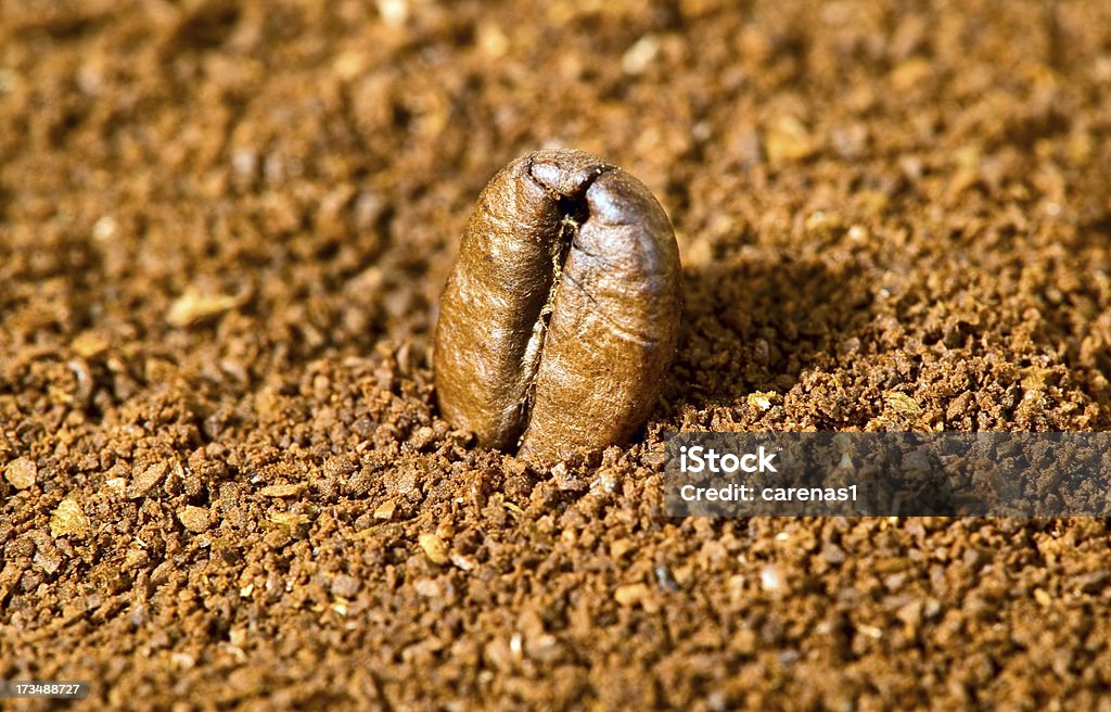 Fondo marrón de granos de café - Foto de stock de Agricultura libre de derechos