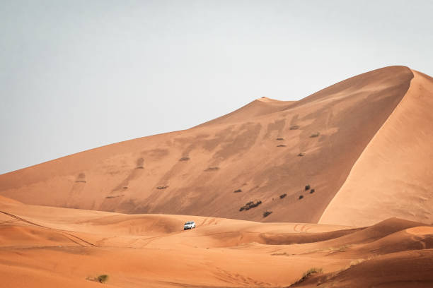 istock Sand texture in Morocco Sahara Merzouga Desert after a rainy day 1734893355