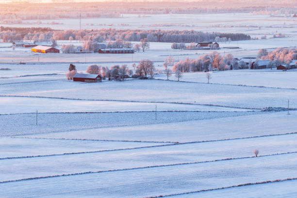 istock Winter landscape in the countryside 1734893363