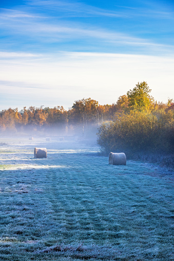 Frost on a field with hay bales and autumn fog