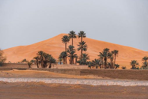Houses and palm trees in front of the big Sahara Desert in Merzouga, Morocco. High quality photo