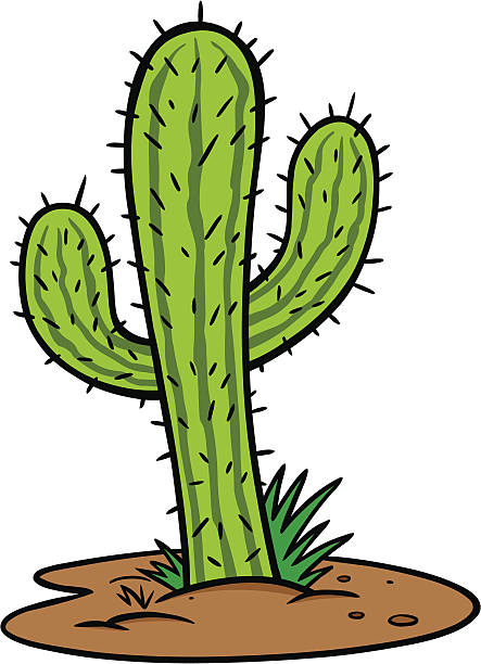 Cactus Tree Cactus Tree mojave desert stock illustrations