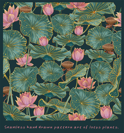 Vector seamless pattern with Beautiful hand drawn lotus flowers and leaves ,Sketch floral background, Design for card, print, template, wallpaper, texture