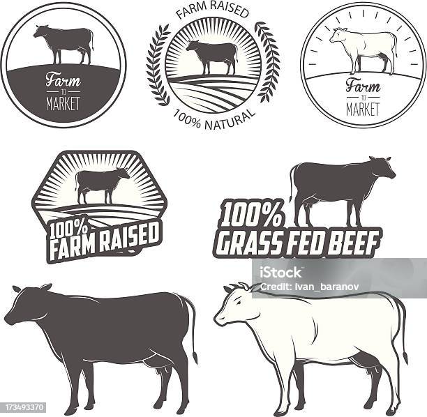 Ilustración de Conjunto De Etiquetas De Carne Premium Señales Y Elementos De Diseño y más Vectores Libres de Derechos de Alimentado con hierba