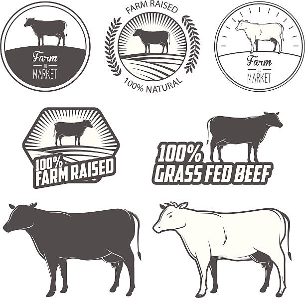 Set of premium beef labels, badges and design elements Set of premium beef labels, badges and design elements. grass fed stock illustrations