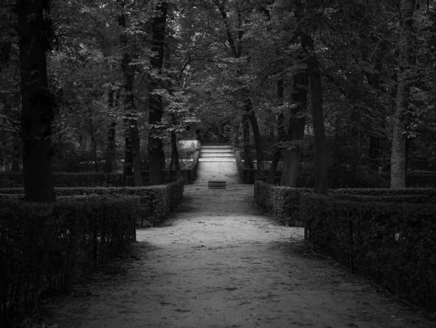 Camino en el Parque del Retiro, Madrid\nPath in Retiro Park, Madrid