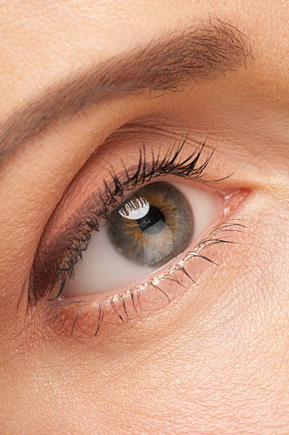 istock Woman eye with make-up 173498865