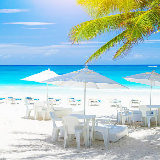 Cozy cafe on sandy sea shore, beautiful sea landscape, clean white chairs and tables under umbrellas, fresh green palm tree, luxury tropical resort, summer vacation concept