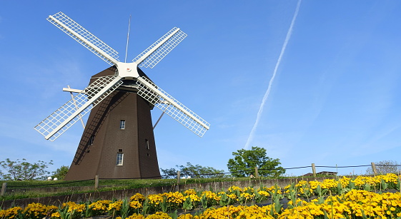 Osaka,Japan,April 23,2023:Windmill Hill in Tsurumi Ryokuchi, Osaka