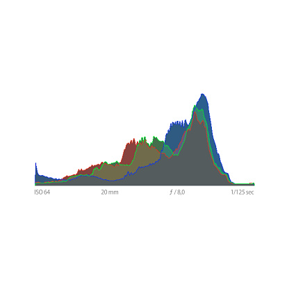 Photo histogram and below you can see the focal length, exposure and aperture