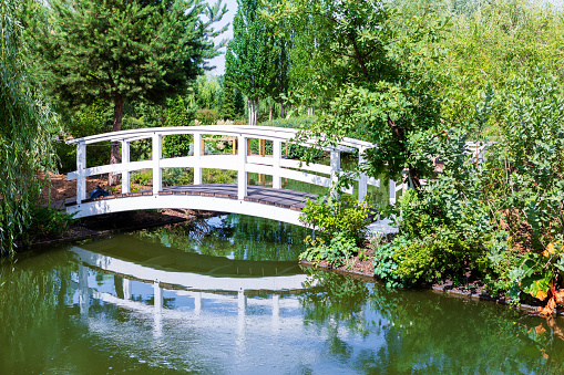 Beautiful bridge over path and green pond in nature landscape sunny day in magical garden