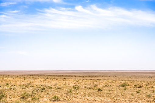 Minimalistic landscape of the Kazakh steppe in Mangistau in May, steppe of the Ustyurt plateau