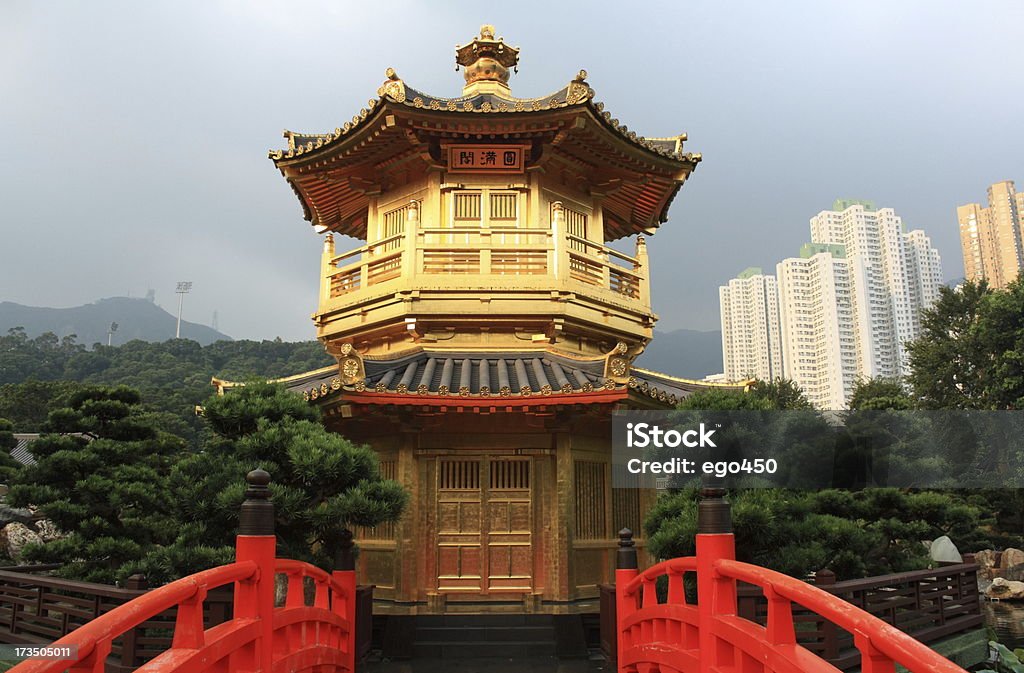 Hong Kong - Photo de Arbre libre de droits