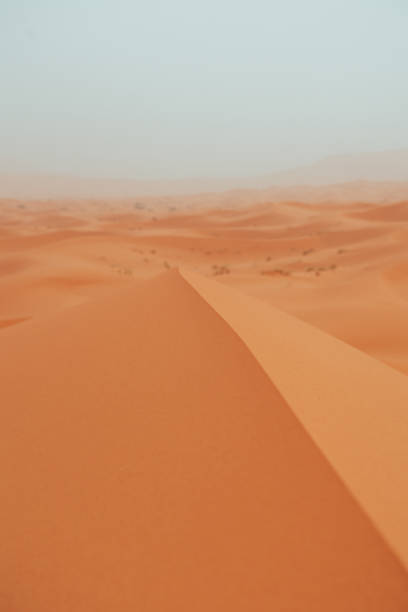 Sand texture during sunrise, Sahara Merzouga Desert landscape oriented. High quality photo
