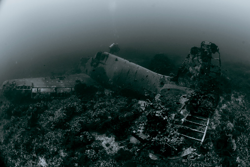 This well-preserved Hellcat aircraft wreck stands out as one of the Solomon Islands' most easily reachable airplane wrecks. Resting upright and complete, it lies in a mere 9 meters of crystal-clear water. The Grumman F6F Hellcat, designed as a carrier-based fighter to supplant the earlier F4F Wildcat, rose to prominence as the Navy's dominant fighter in the latter stages of World War II, a status it never relinquished.\n\nRenowned for its robust and efficient carrier-based design, the Hellcat effectively countered the Mitsubishi A6M Zero, playing a pivotal role in securing air superiority over the Pacific. Its straightforward, highly effective design remained relatively unaltered throughout the war, with over 12,200 units produced in just over two years.\n\nThe wreck rests upon a bed of fragmented coral, surrounded by delicate branching coral formations, ensuring minimal silt disturbance and excellent underwater visibility. Undoubtedly, it ranks among the most easily accessible airplane wrecks in the Solomon Islands.