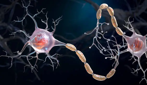 Photo of Synaptic connection