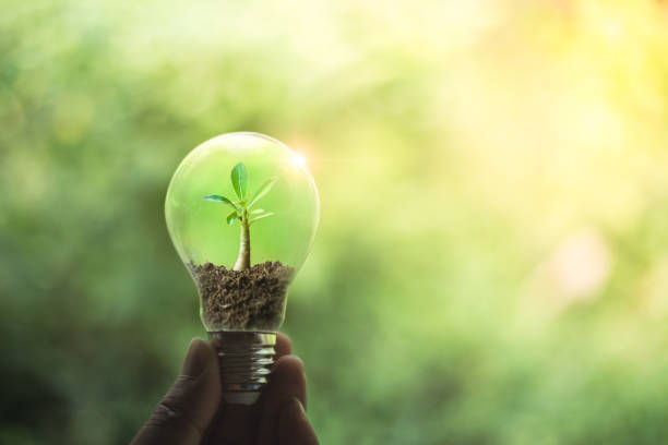 istock Hand holding a light bulb with growth of tree inside. Creative ideas for save energy concept or global warming with natural bokeh light 1735089620
