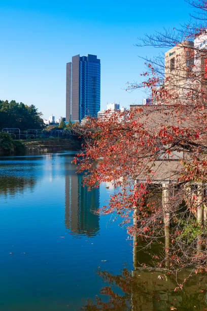 istock Sunny autumn leaves at the outer moat of Edo Castle (Ichigaya, Chiyoda-ku, Tokyo) 1735090723