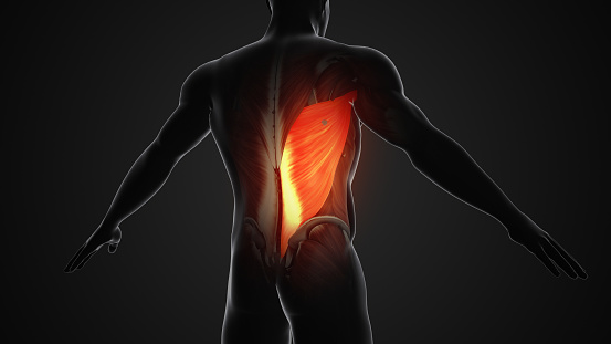 Pain and injury in the latissimus dorsi muscles, commonly referred to as the \