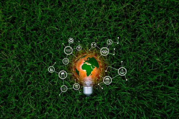 istock Green energy concept. light bulb on grass nature, eco green energy system. Innovation technology eco energy. light bulb energy sources for renewable. Concept innovation inspiration. Idea innovative. 1735100611