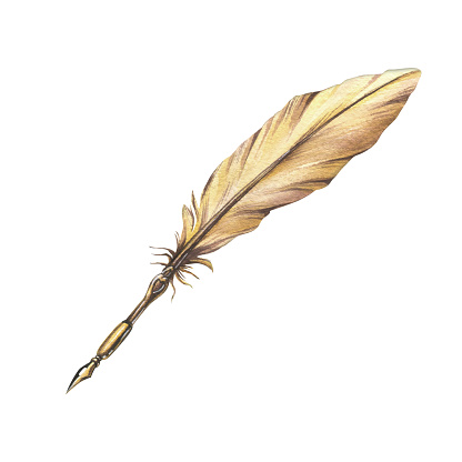 Gold pen with quill feather and metal tip. Hand drawn watercolor illustration. Isolated object on a white background