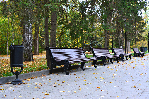 the row of wooden banches in the park with trees on background