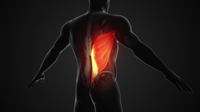 Pain and injury in the Latissimus Dorsi Muscles