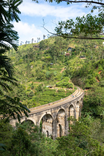 istock Famous Nine Arch Bridge on a sunny day in Ella, train journey Sri Lanka 1735169903
